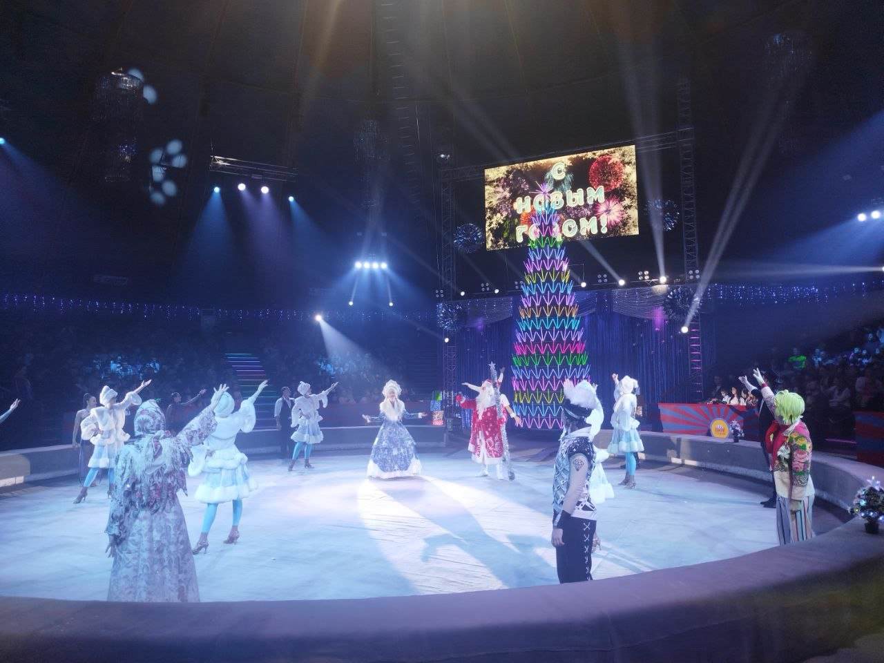 photo novyj god dprof